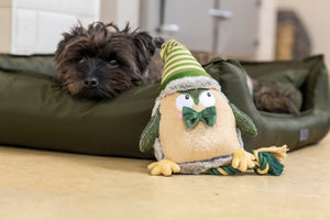 Forest green owl dog toy